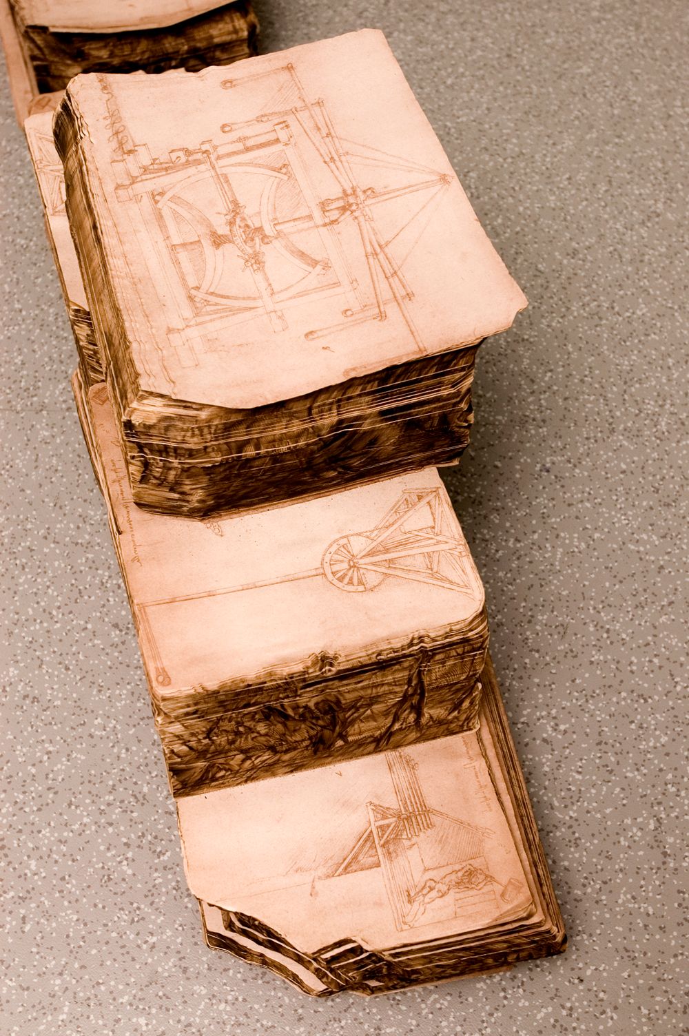 Los Términos Del Juego Miler Lagos